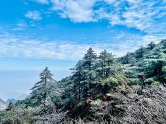 -黄山风景区