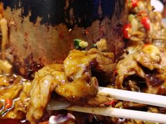 -老佛爷蛙锅•鲜蛙煲(麦凯乐店)