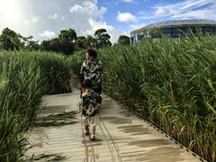 -鹦鹉洲湿地公园