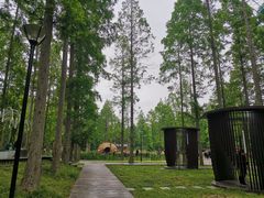 -黄海国家森林公园