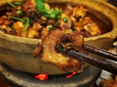 -广宁炭炉鸡煲·富临门饭店