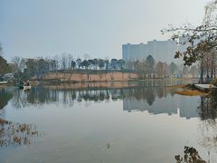 -洋湖国家湿地公园