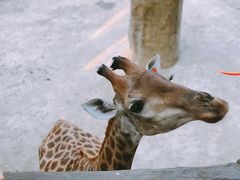 -长鹿旅游休博园