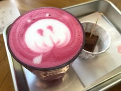 -WHEN PIGS FLY当猪飞