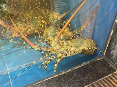 -鹏天阁酒楼·海鲜(红旗店)