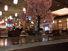 -汤泉良子(金源店)
