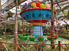 -南宫五洲植物乐园