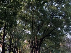 -御花园·粤菜·海鲜火锅(中山公园店)