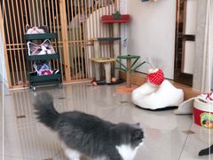 -Catmate·猫肥家润(金润铂宫店)