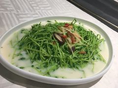 -石头咕(葵蓬店)