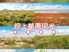 -张北坝上草原