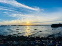 -宝安西湾红树林湿地公园