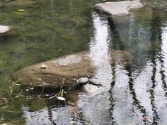 -徐家汇公园