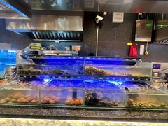 -星伦多自助料理·涮烤一体(奉贤龙湖天街店)