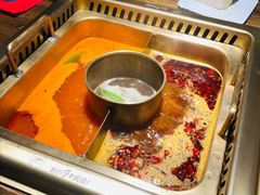 -九鼎轩脆毛肚火锅(商业街店)