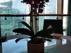 -大中华希尔顿酒店·兰亭潮中餐厅·粤菜