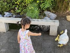 -三亚亚龙湾雅高美爵酒店