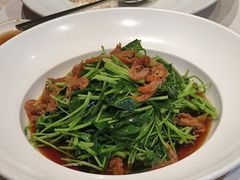 -品悦酒店(三林古镇店)