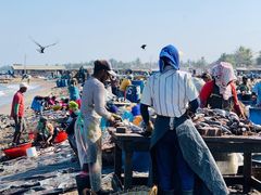 -尼甘布海鲜市场