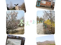 -北京鹫峰国家森林公园