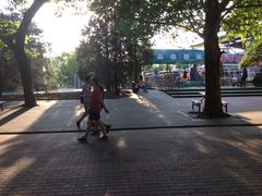 -朝阳公园游乐园