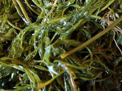 -谭鸭血老火锅(漳州路店)