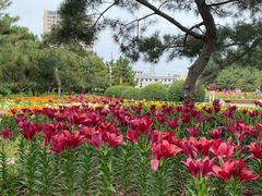 -长春公园(普阳街道)