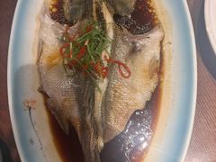 -新侨小馆(东直门北小街店)