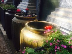 -南诏风情岛