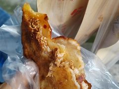 -安工大饼庞家肉饼