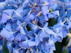 -桤木河湿地公园