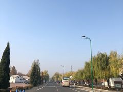 -白洋淀景区