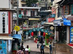 -猫咪博物馆(顶澳仔猫街店)