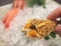 -菊上料理(蜀山银泰百货店)