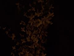 -观臣足道·养生SPA(冉家坝店)