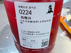 -喧闹·东方大气茶(鹅岭二厂店)