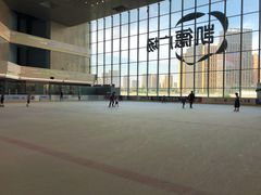 -冠军冰场CHAMPION RINK(凯德广场店)