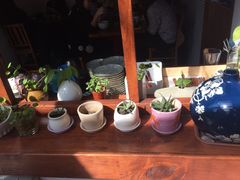 -铃木食堂(帽儿胡同店)