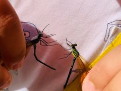 -碓臼峪自然风景区