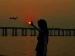 -宝安西湾红树林湿地公园