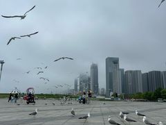 -东港音乐喷泉广场