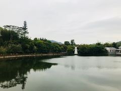 -大屏嶂森林公园