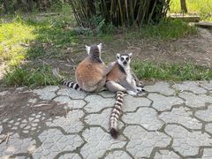 -宁波野生动物园
