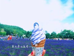 -富田农场