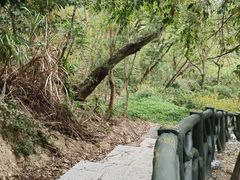 -梧桐山风景名胜区