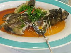 -绿雅居原生态农庄(小涌店)