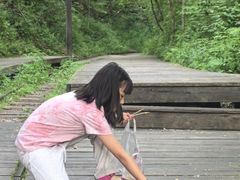 -五营红松林海景区