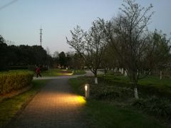 -九里河湿地公园