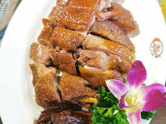 -龙抄手食府(浣花北路店)