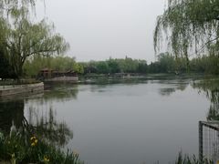 -古塔公园